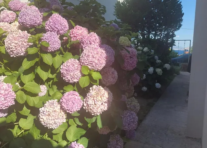 Brko Bed & Breakfast